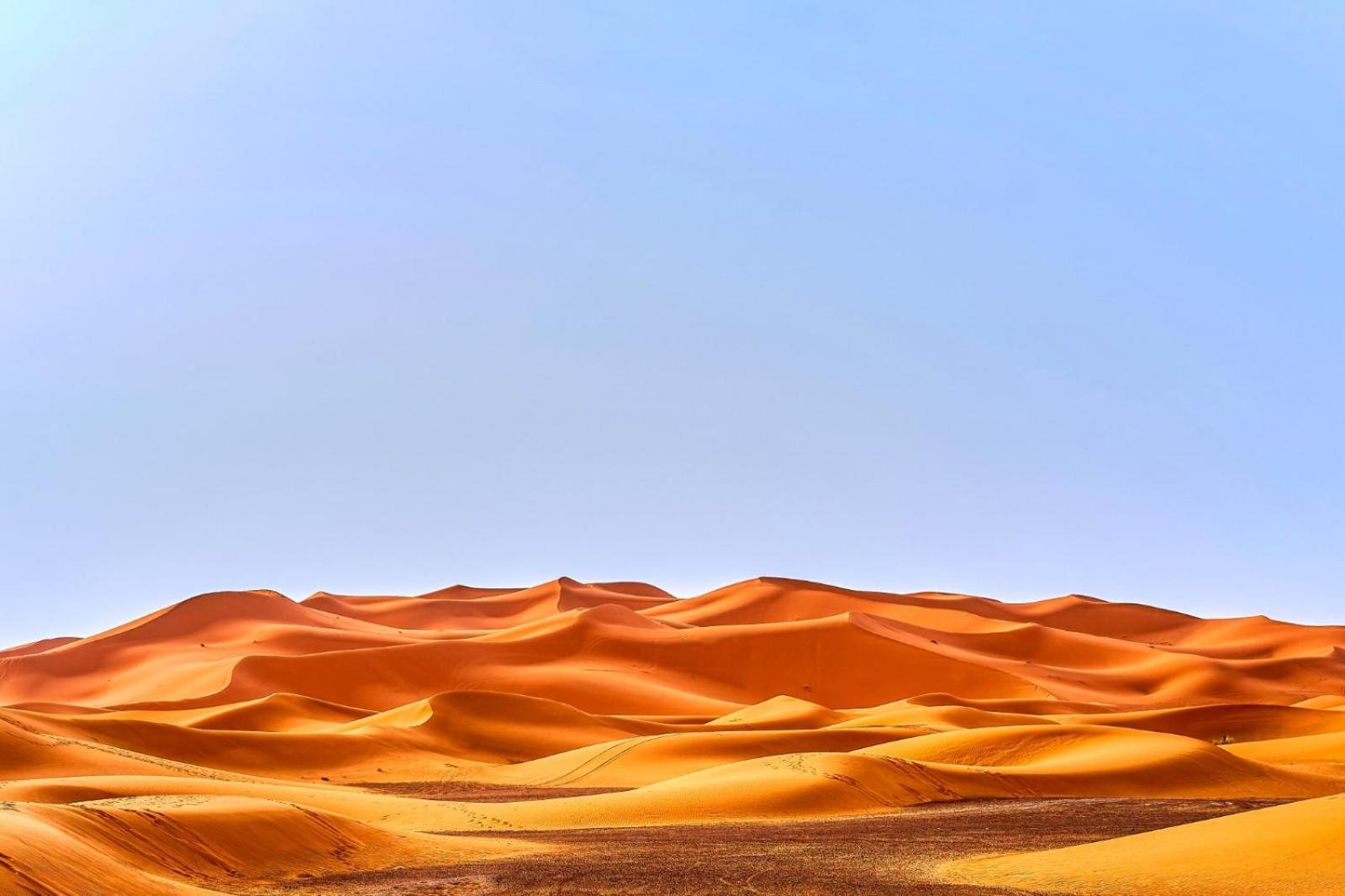 Young Luxury Camp Merzouga Exteriör bild