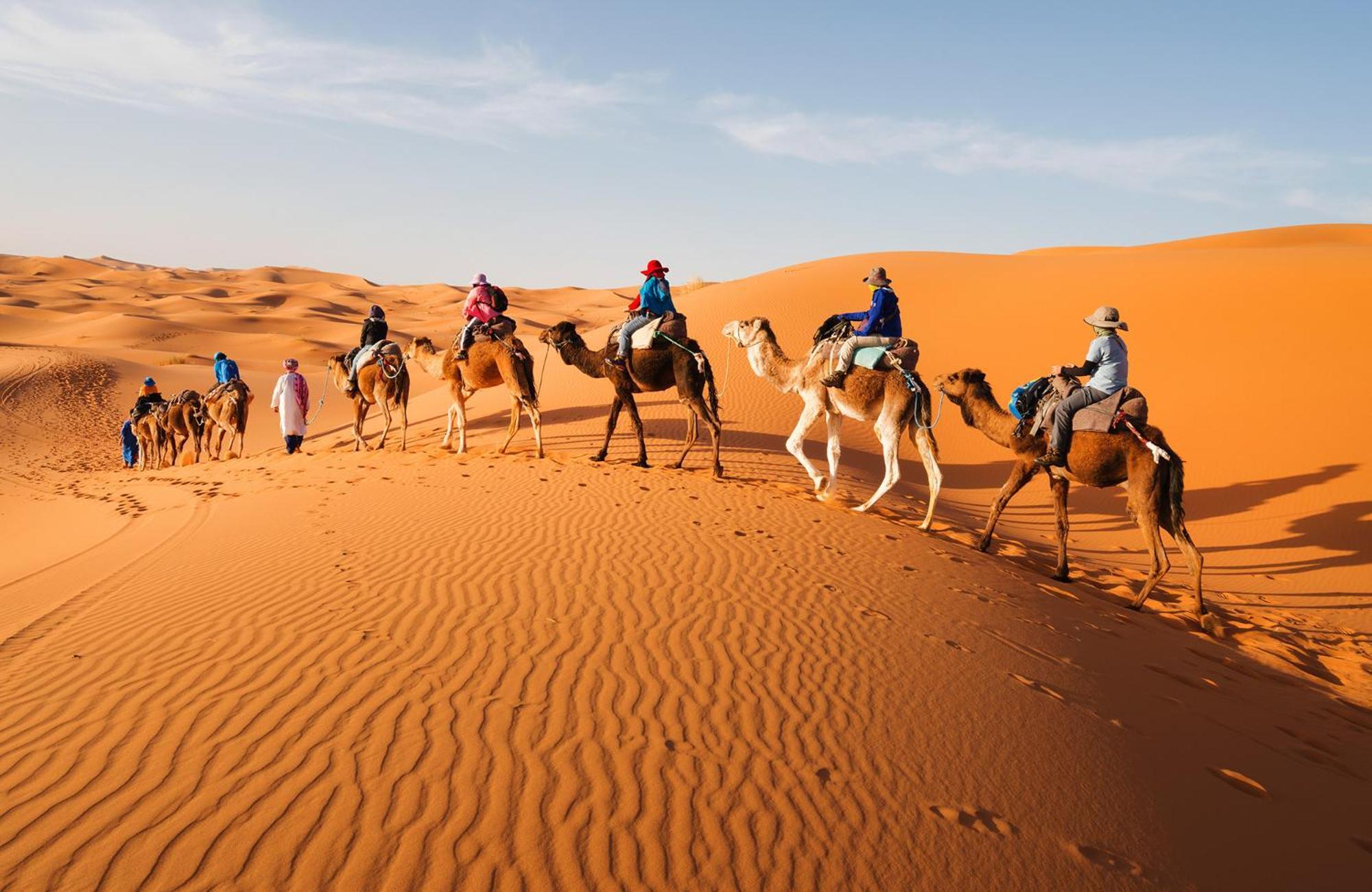 Young Luxury Camp Merzouga Exteriör bild